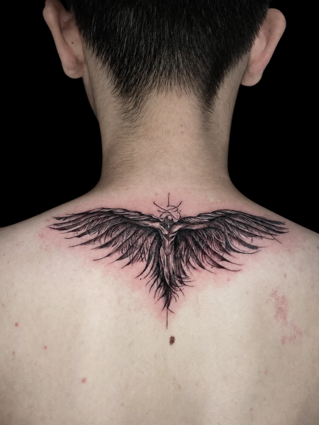 Wings Across the Nape tattoo by Zencat — 2022 archive · Nape & upper back